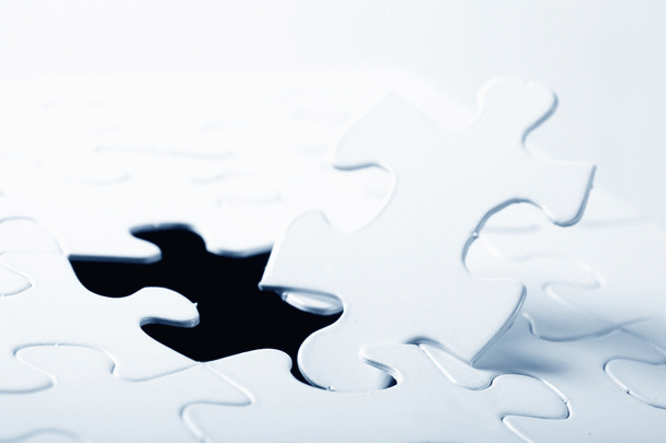 18 نکته مهم قبل از به سرپرستی گرفتن سگ گرگی: قدرتمند اما چالش‌برانگیز